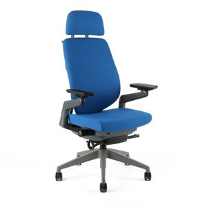 kancelarska-ergonomicka-zidle-office-pro-karme-vice-barev-s-podhlavnikem-a-podruckami-modra-f03